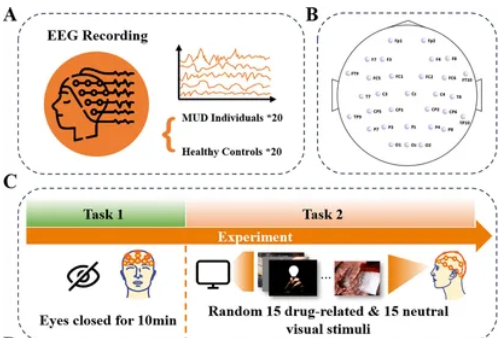 Specific Endophenotypes in EEG Microstates for Methamphetamine Use Disorder - Cover image